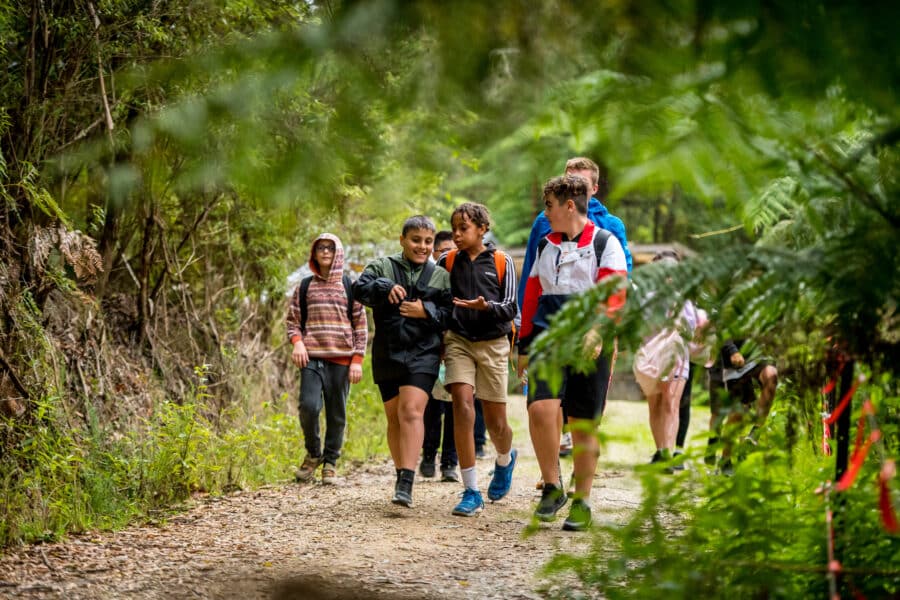 A group of diverse teenagers walking and talking together on a forest trail, surrounded by lush greenery.