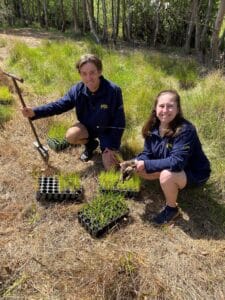 Two people are planting seedlings in a grassy area. One holds a planting tool, and the other holds a seedling. They are surrounded by seedling trays.