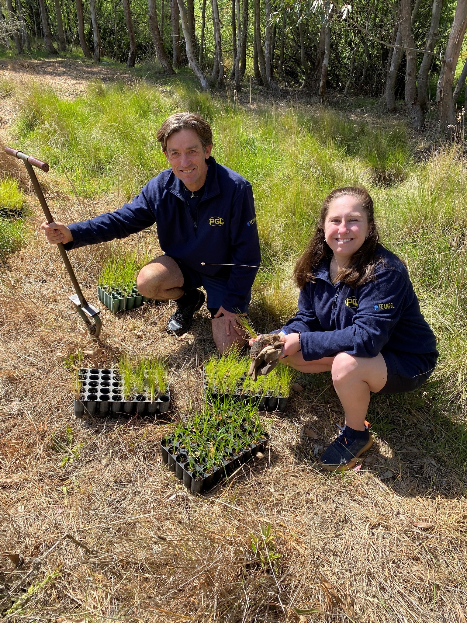 Two people are planting seedlings in a grassy area. One holds a planting tool, and the other holds a seedling. They are surrounded by seedling trays.